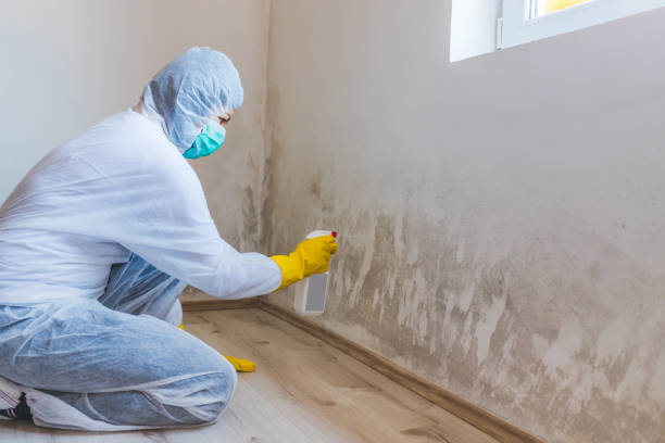 Licensed Mold Remediation service in Graham, NC - WQB Mold Removal