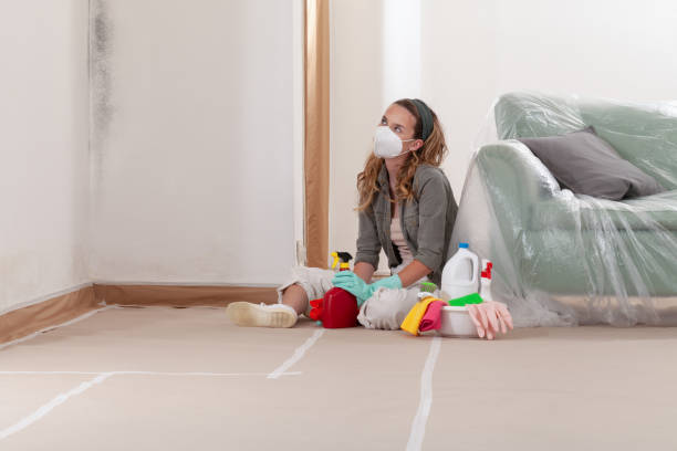 Reliable Mold Remediation contractor in Graham, NC by WQB Mold Removal